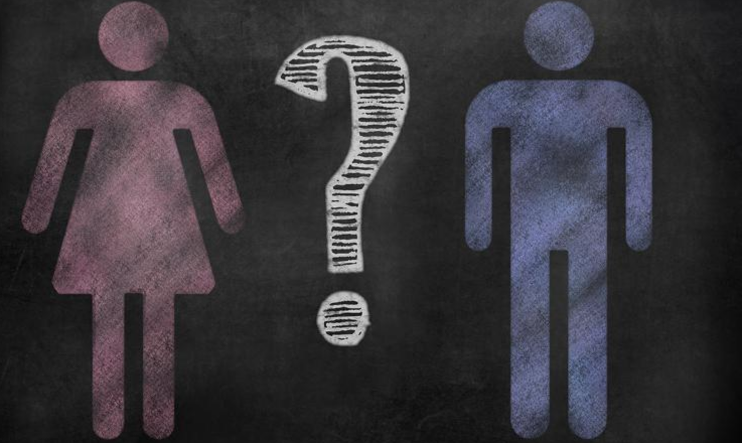 Il gender è già nelle scuole con i “laboratori sugli stereotipi di genere” 1